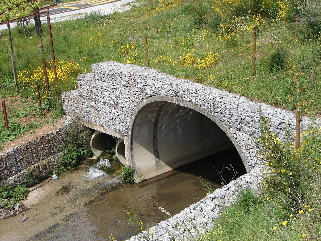 [DSC07849.JPG]