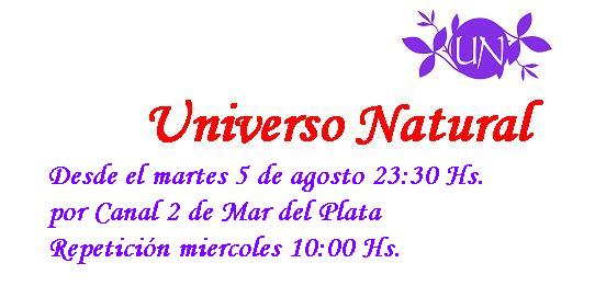 NUEVO AIRE, NUEVO BLOG