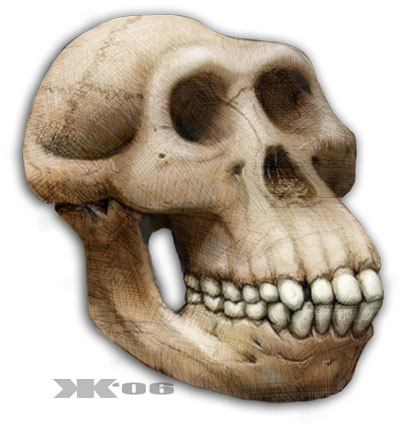 australopithecus_final_large.jpg