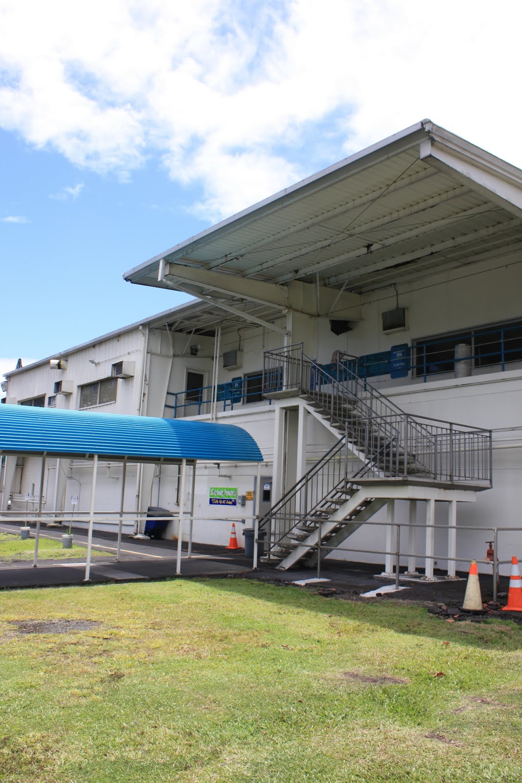 Quarterlife Adventures Mauna Loa Macadamia Nut Farm Hilo, Hawaii