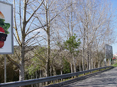 Horizontes de Esperança