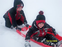 Sledding 2009