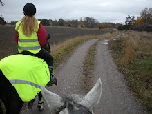 Ut med Felicia och Melissa