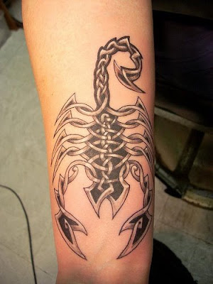 Kitchen Design on Celtic Scorpion Tattoo Designs   Tattoo Design