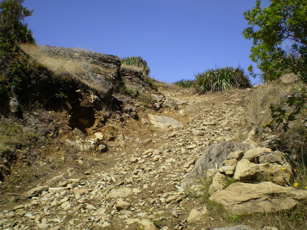 125enruta Pucatrihue.