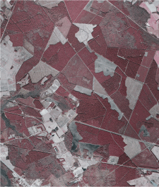 SCDNR - Digital Orthophoto Quadrangles (DOQQ)