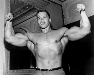 http://1.bp.blogspot.com/_9UYLMDqrnnE/Sq9yfUgSAnI/AAAAAAAADl8/JqpJI99C3ng/s400/Arnold-Schwarzenegger-5.jpg