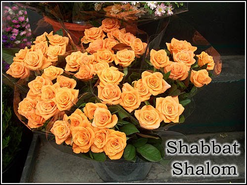[shabbat-shalom-20090904-500.jpg]