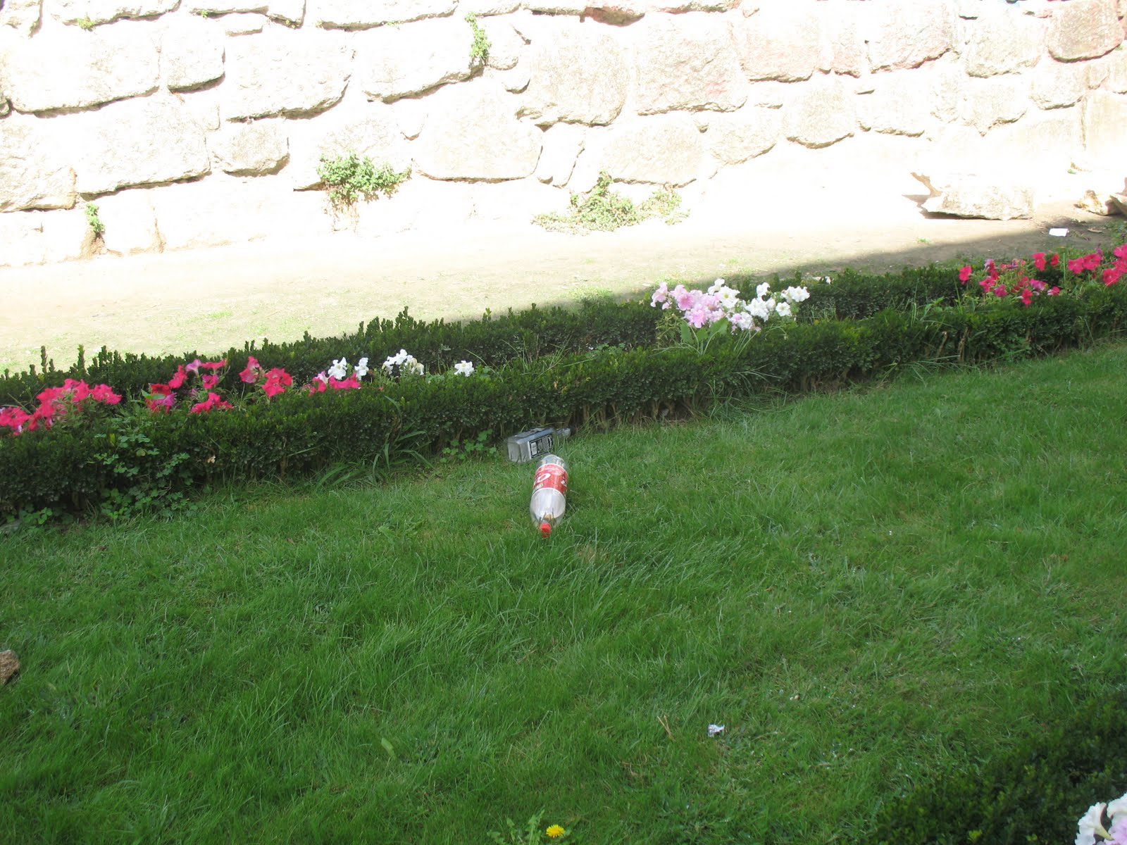 [IMG_5407.JPG]