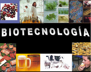 IMPORTANCIA DE LA BIOTECNOLOGIA importancia de la biotecnologia: