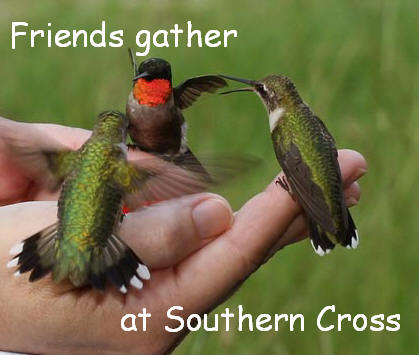 [Friends+gather+hummingbirds.jpg]
