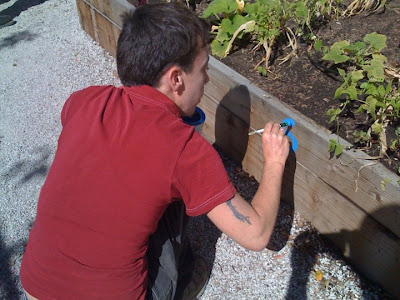 external image finn+painting.jpg