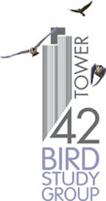 Tower 42 Logo