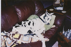 These were the good old days.  THIS was my Mollygirl.