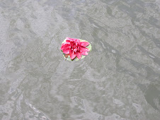 A water lotus