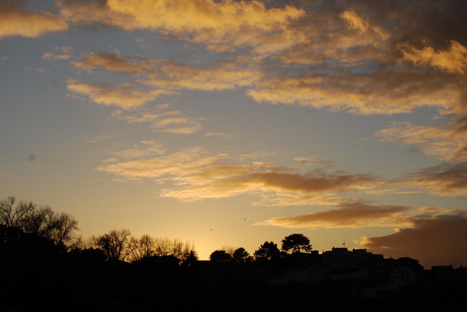 [DSC_0496.JPG]