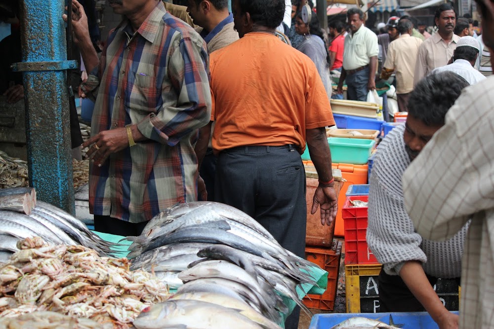 shrink to fit Russel Market Bangalore