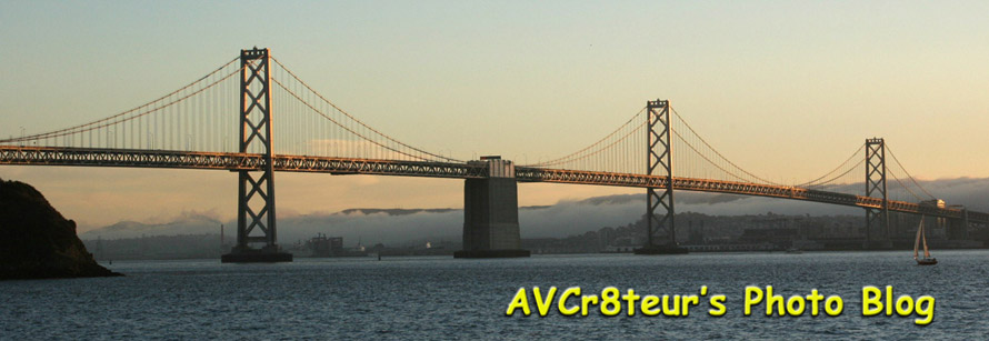 AVCR8TEUR'S PHOTO BLOG & MORE