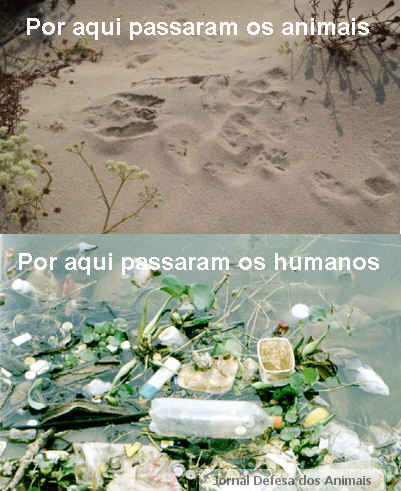 [image_1.jpg]
