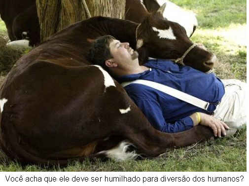 [farra4.jpg]