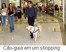 [caoguia2.jpg]