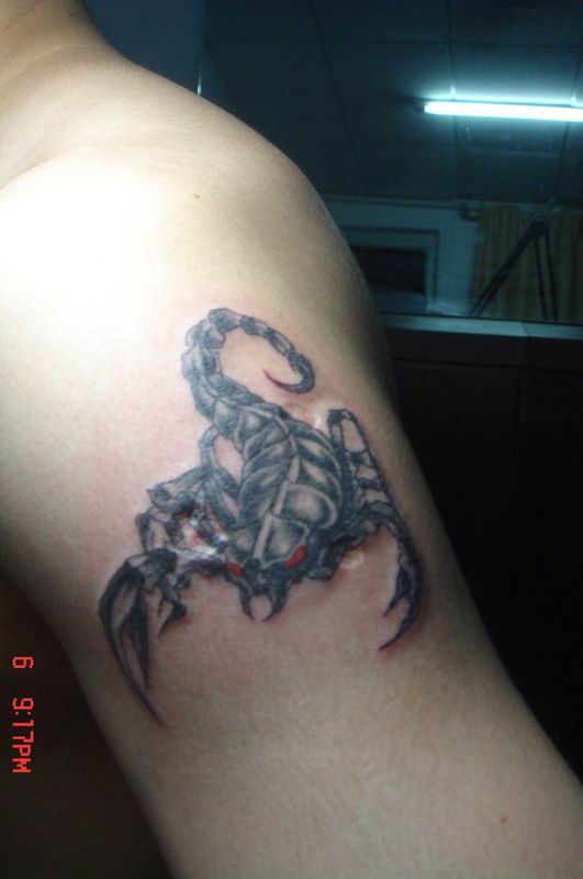 Playboy Tattoo - Meaning scorpion tattoo Design