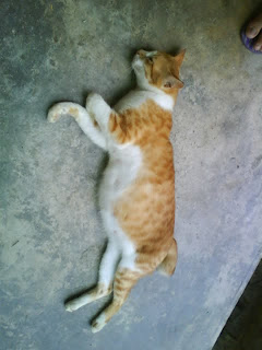 Kepala+air+ulu+bendul