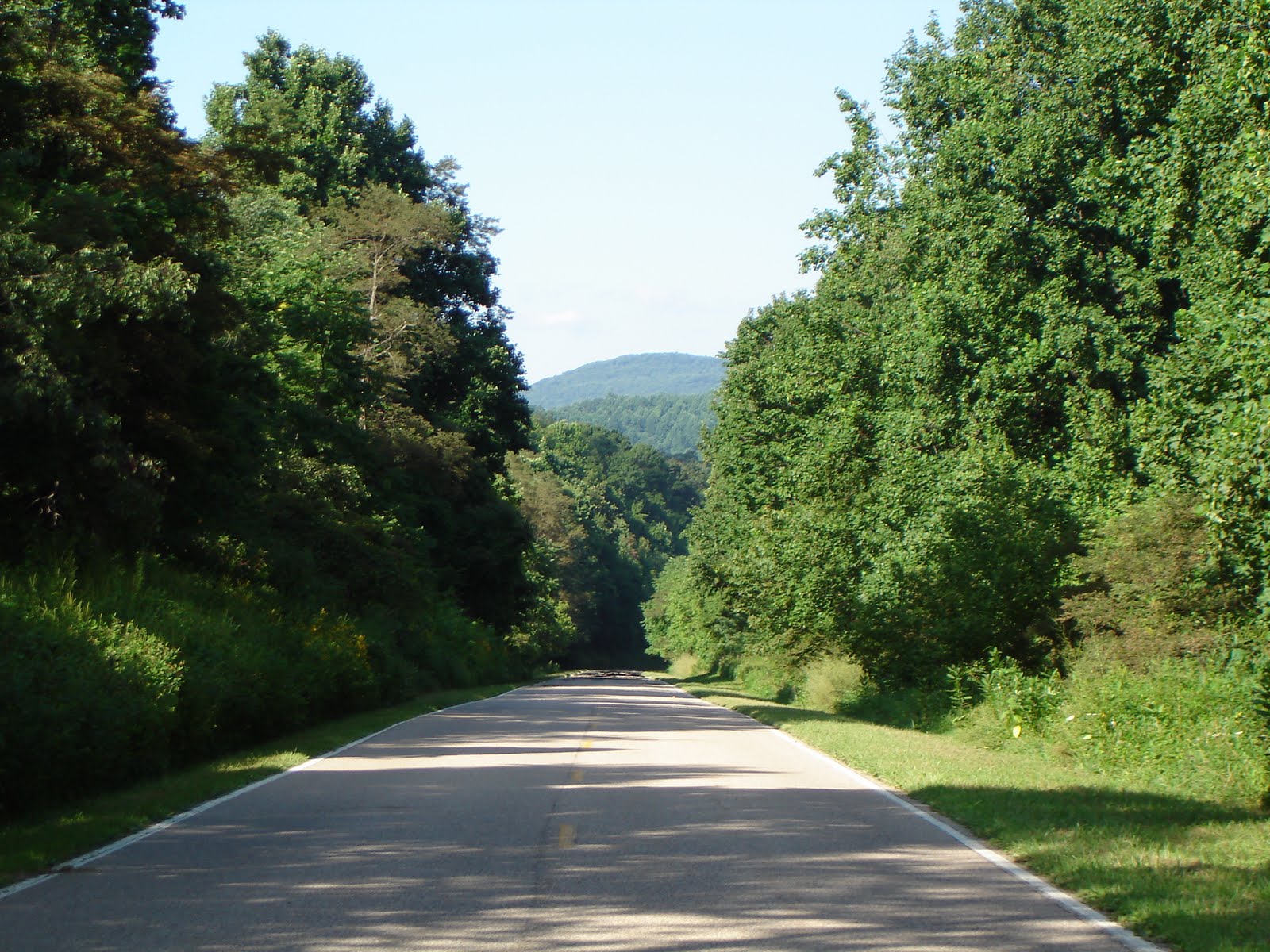 [DSC02139.JPG]