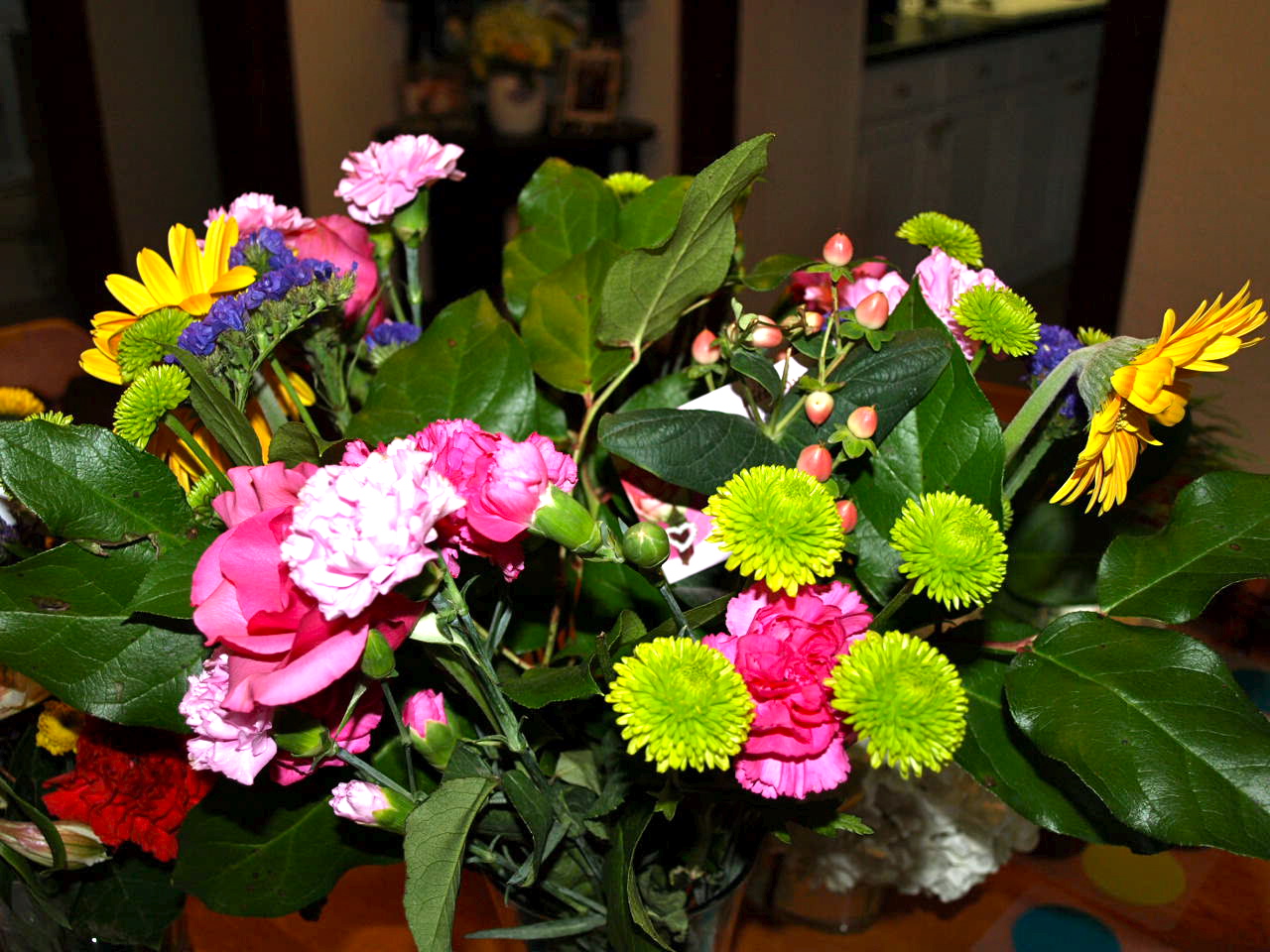[P7224169.JPG]