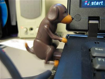 usb+humping+dogs2.jpg