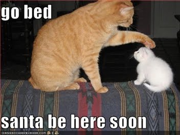 Santa LOLCat