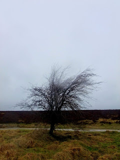 The Moors