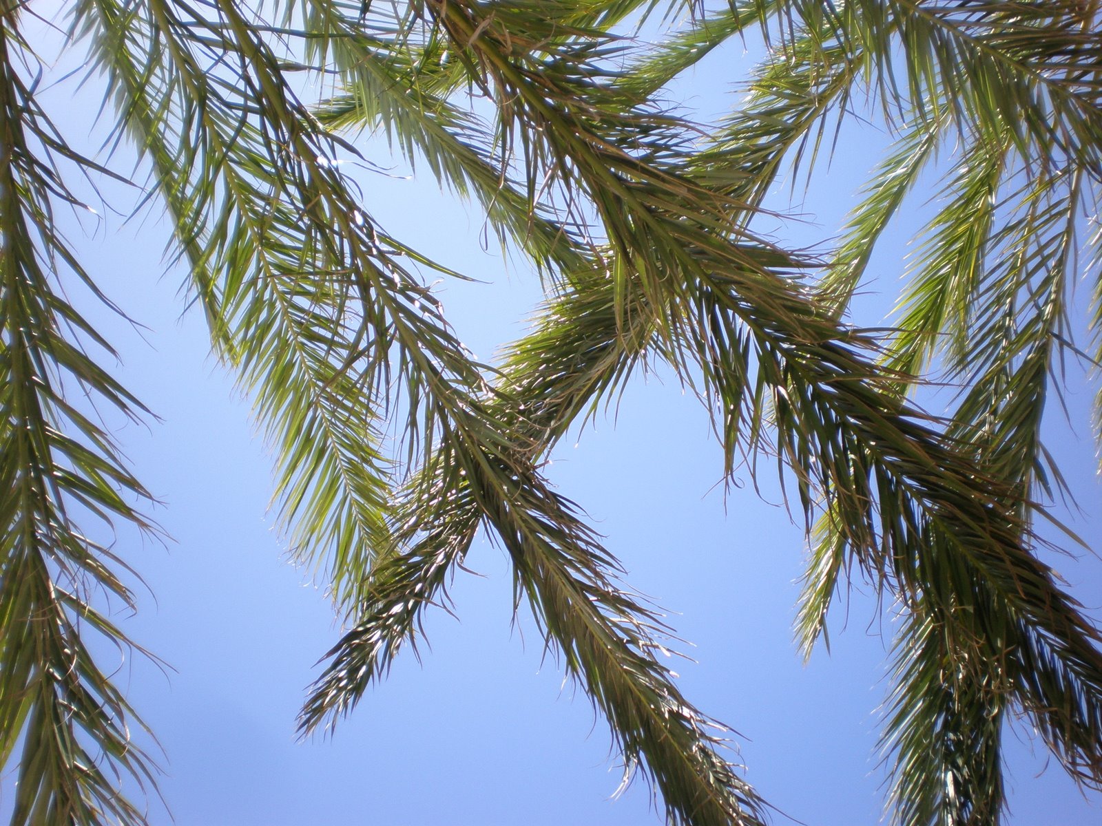 [2009_062311-21-20080055.JPG]