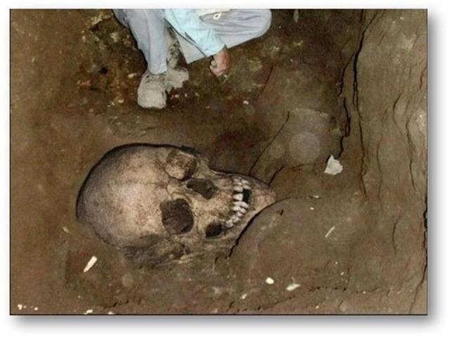 Aad Skeleton