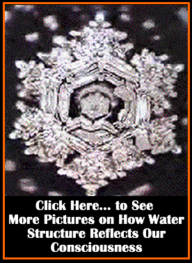 DR. EMASARU EMOTO'S WEBSITE...Buy Books, DVD's