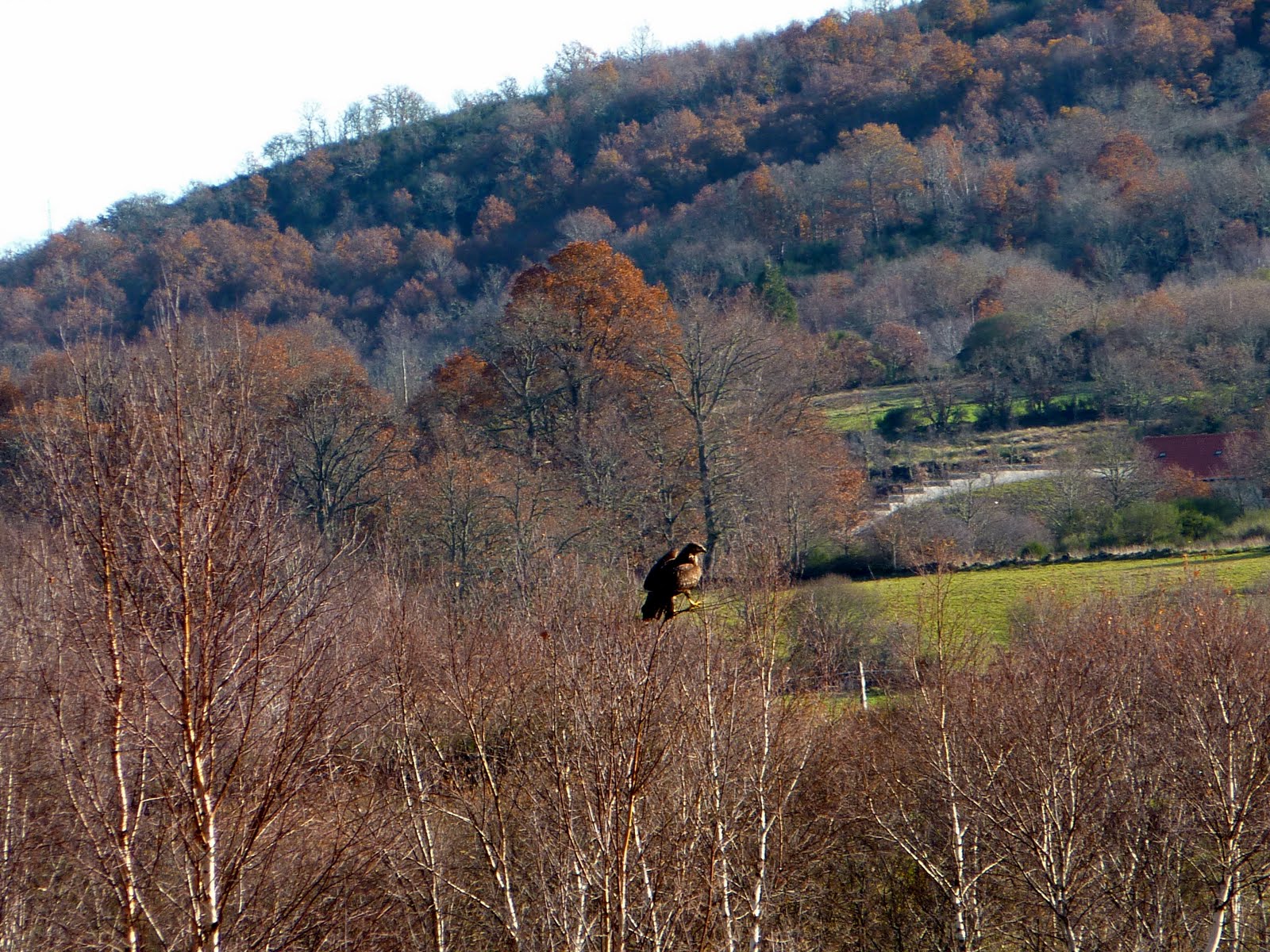 [P1000576.JPG]