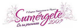 Logo del congreso 2009
