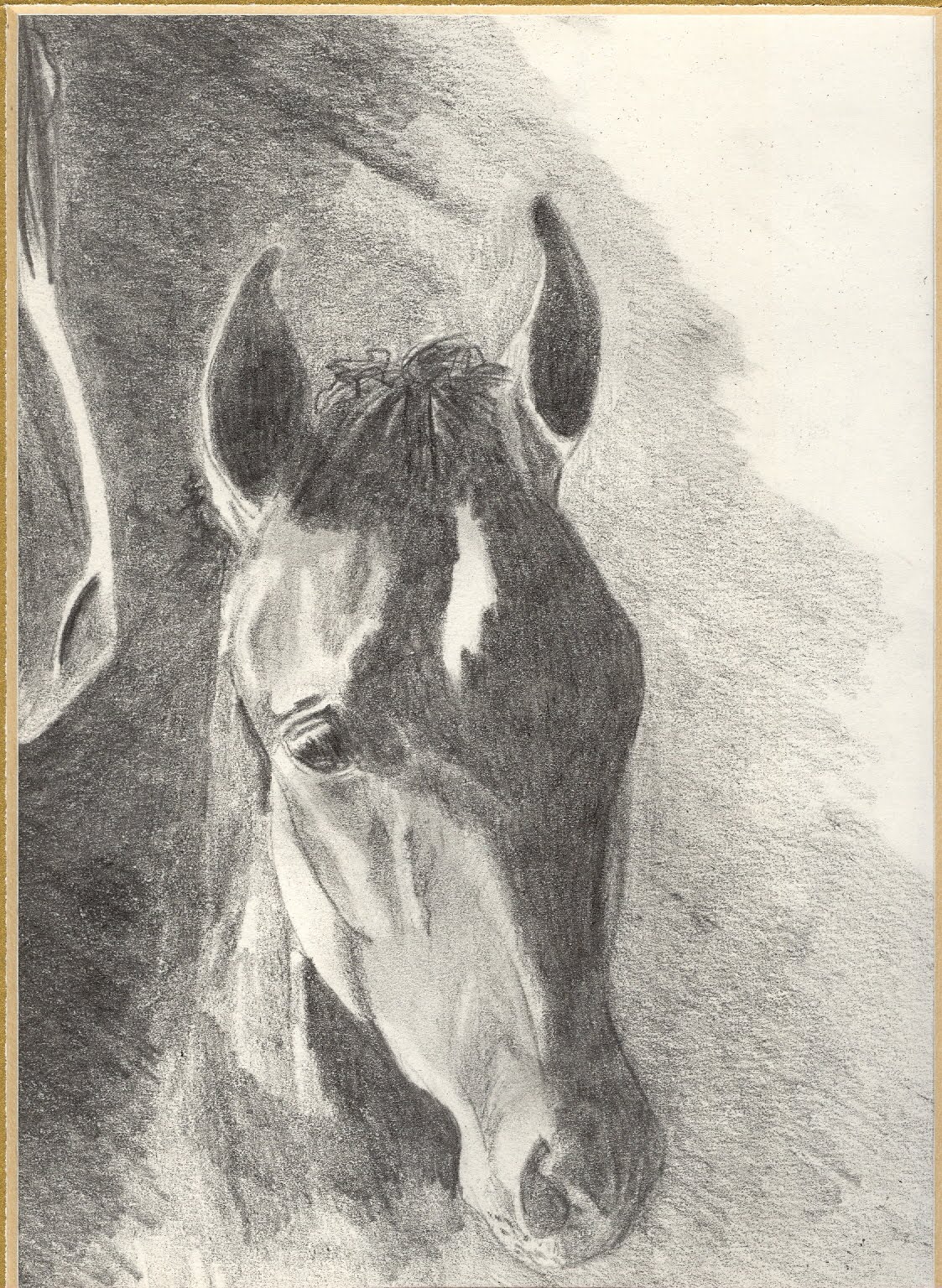 [foal...graphite.jpg]