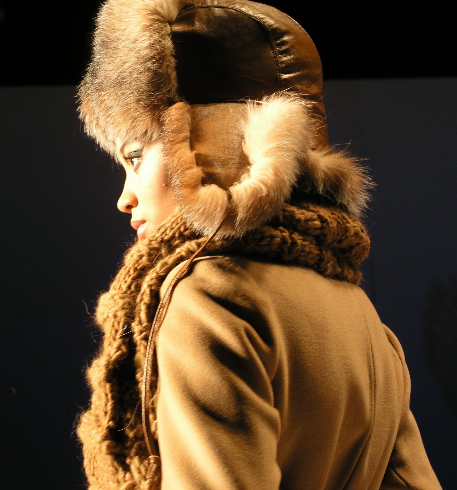 [Irina+shade+of+amelia.JPG]