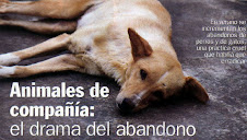NO AL ABANDONO