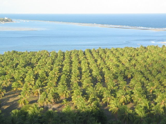 [IMG_5762.JPG]