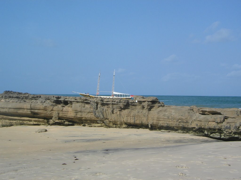 [IMG_4140.JPG]