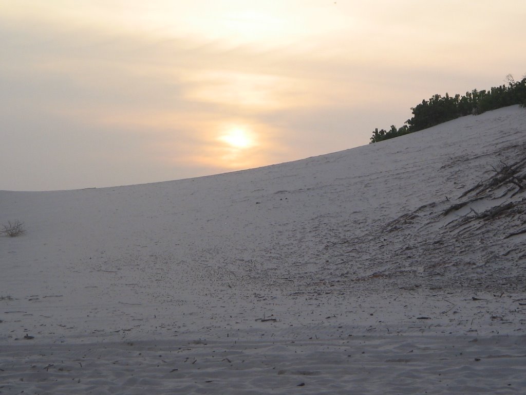 [IMG_1357.JPG]