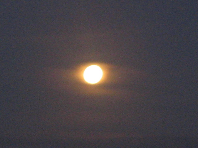 [IMG_0997.JPG]