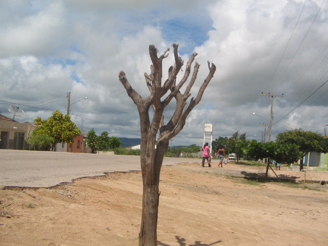 [IMG_0866.JPG]