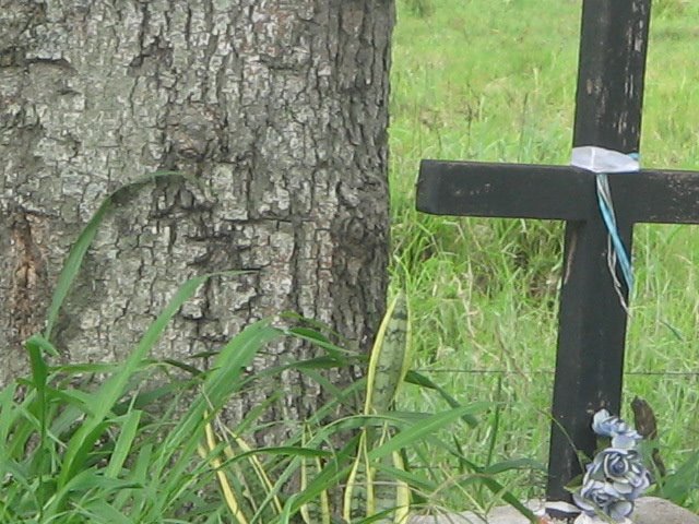 [IMG_0896.JPG]