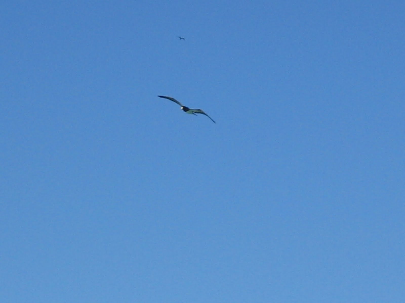 [IMG_7271.JPG]