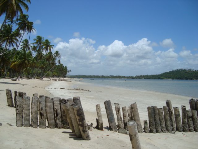 [Imagem+232.jpg]