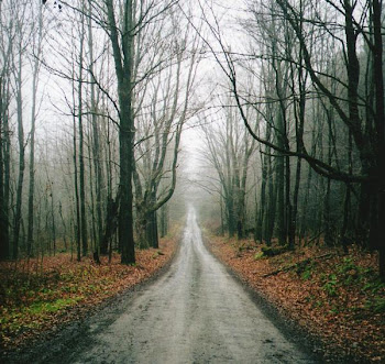 A Long and Narrow Road