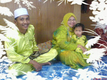 Aidilfitri 2008